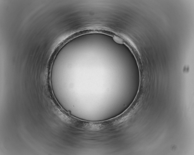 X0000090920831200708131431