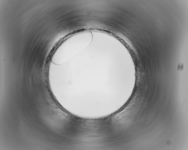 X0000090920832200708131431