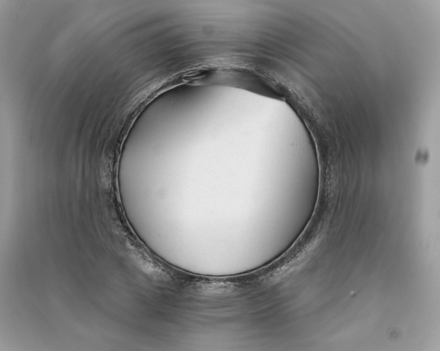 X0000090920833200708131431