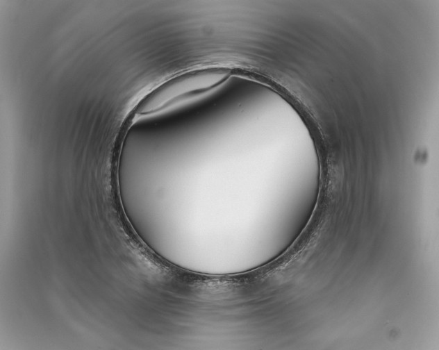 X0000090920834200708131431