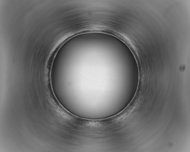 X0000090920835200708131431