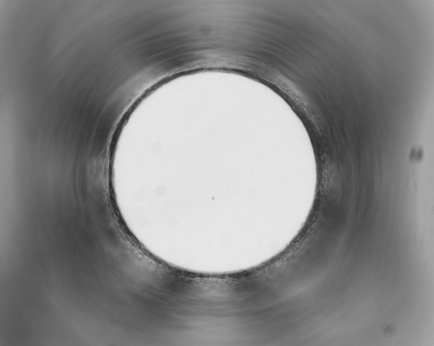 X0000090920836200708131431