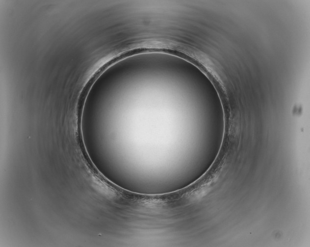 X0000090920837200708131431