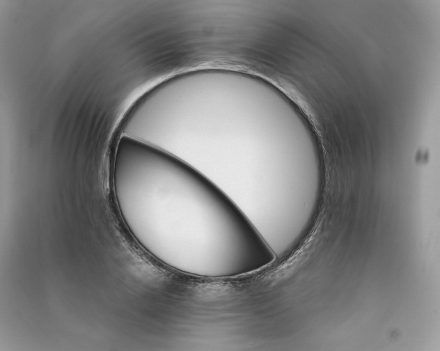 X0000090920838200708131431