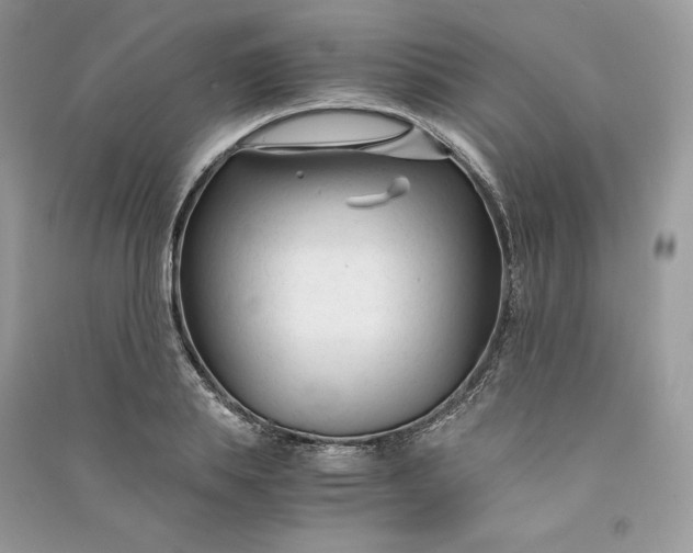 X0000090920839200708131431