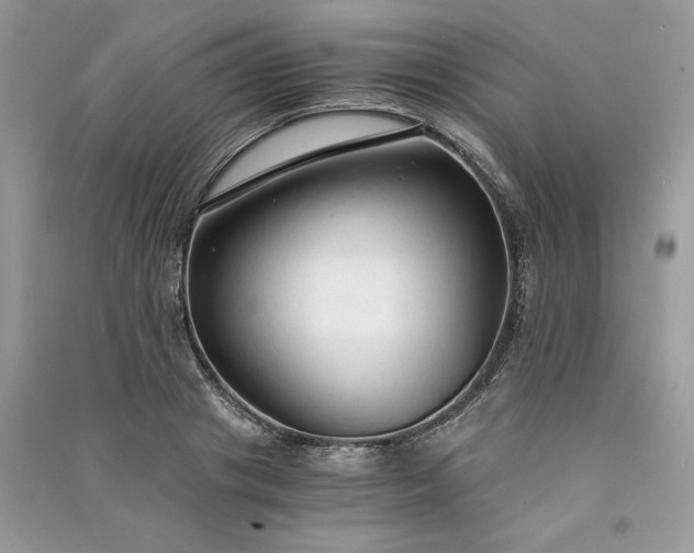 X0000090920841200708131431