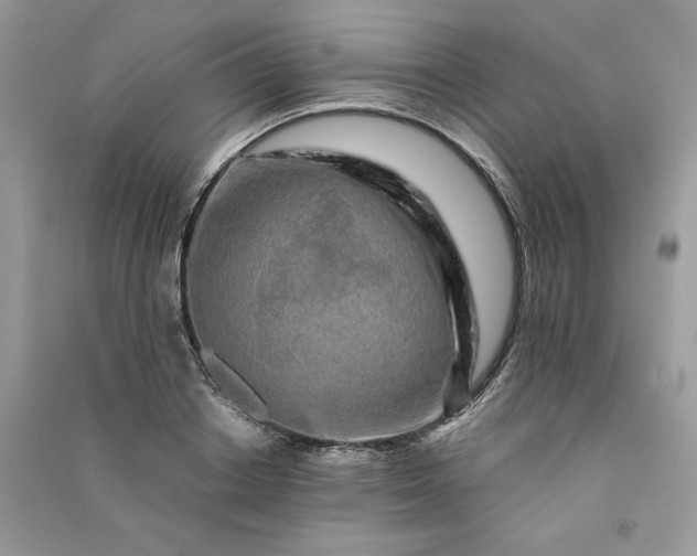 X0000090920842200708131431