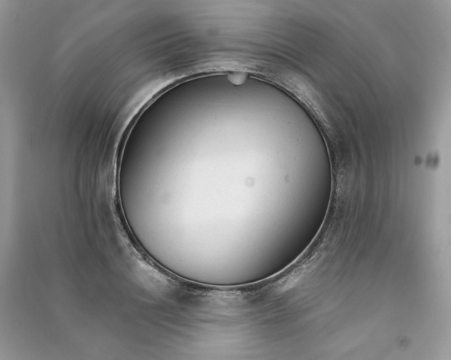 X0000090920844200708131431