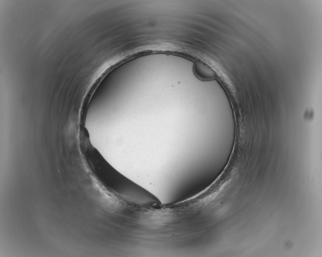 X0000090920845200708131431