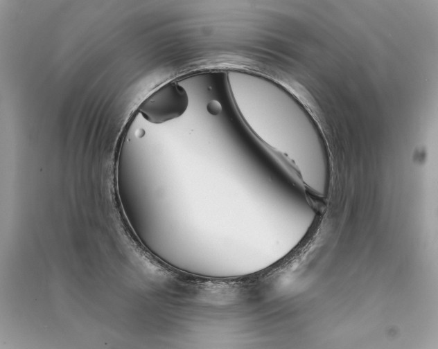 X0000090920850200708131431