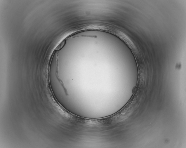 X0000090920852200708131431