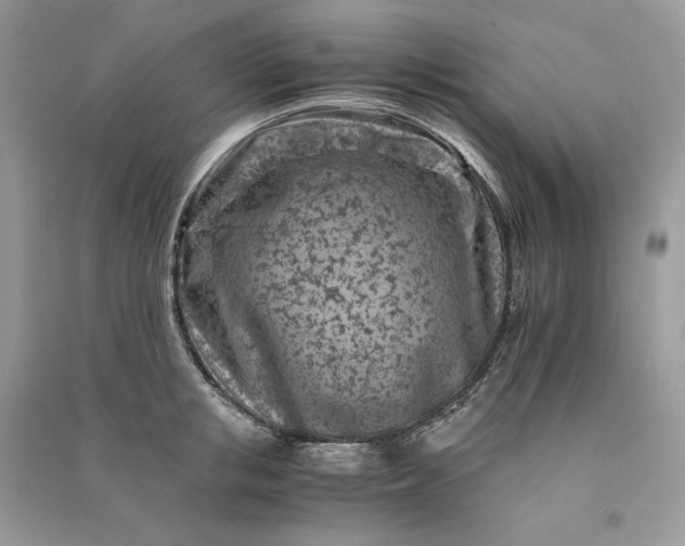 X0000090920853200708131431