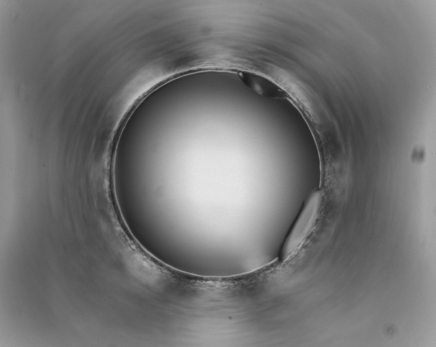 X0000090920854200708131431