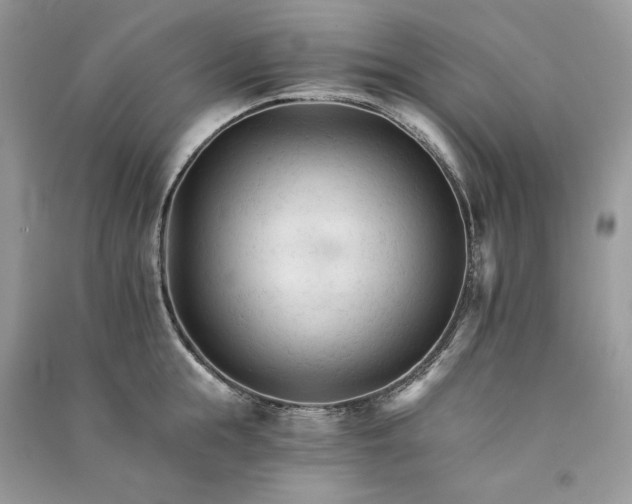 X0000090920855200708131431