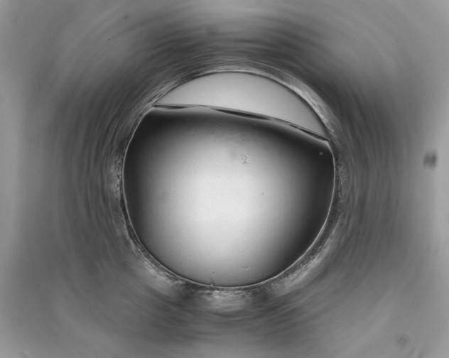 X0000090920857200708131431