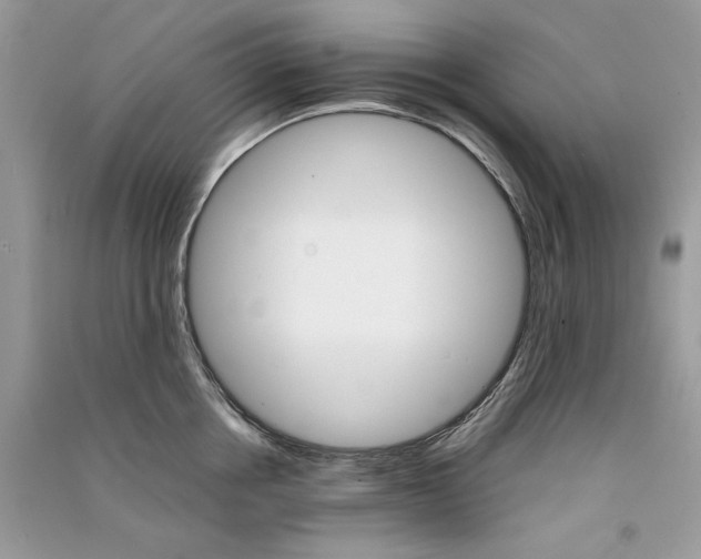 X0000090920858200708131431