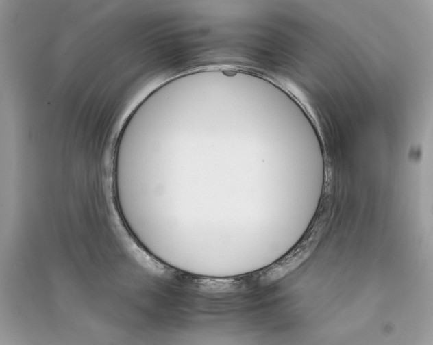 X0000090920859200708131431