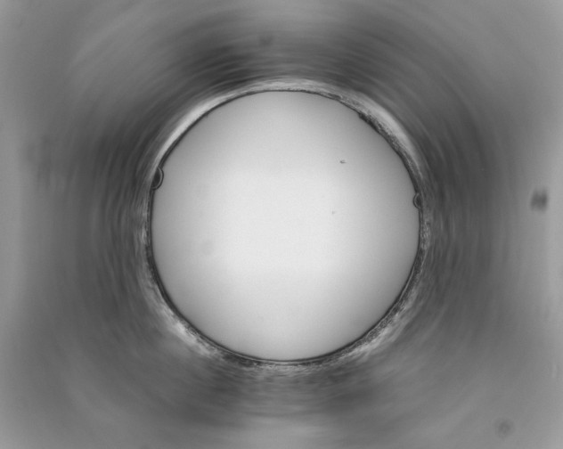 X0000090920860200708131431