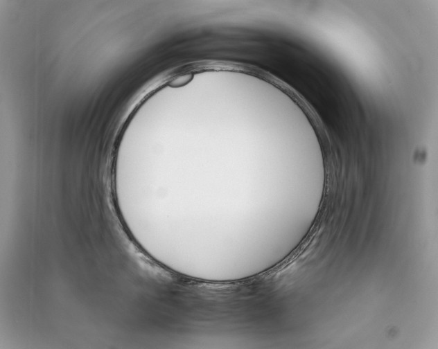 X0000090920861200708131431