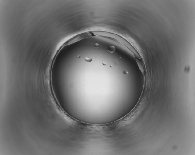 X0000090920862200708131431