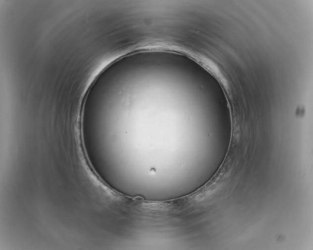 X0000090920863200708131431