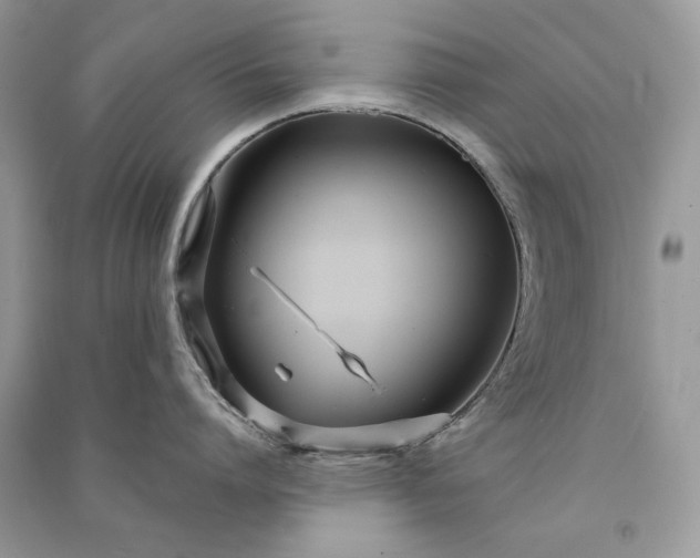 X0000090920864200708131431