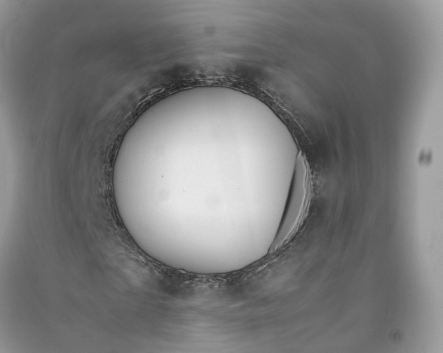 X0000090920865200708131431