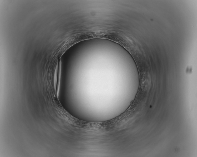 X0000090920866200708131431