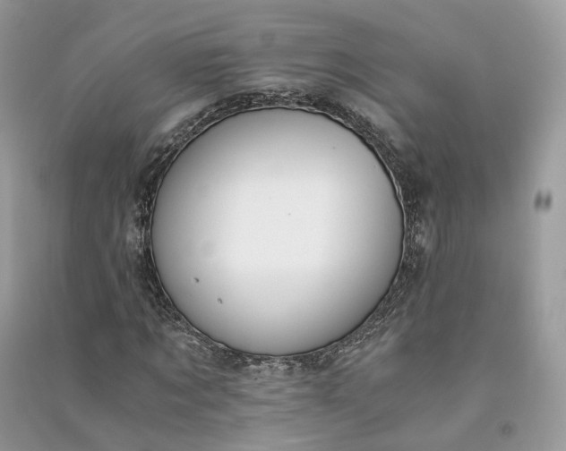 X0000090920869200708131431