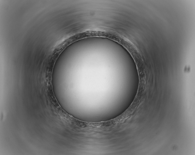 X0000090920870200708131431