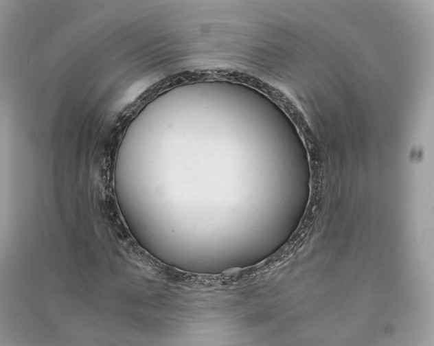 X0000090920871200708131431