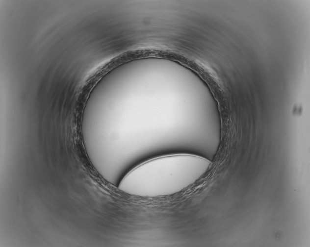 X0000090920872200708131431