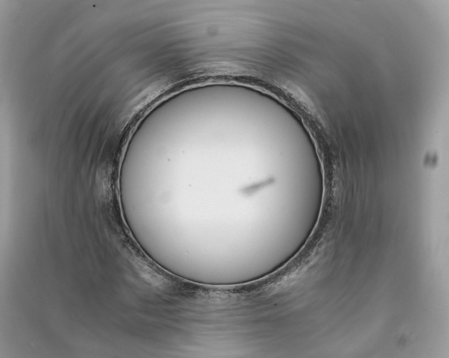 X0000090920873200708131431