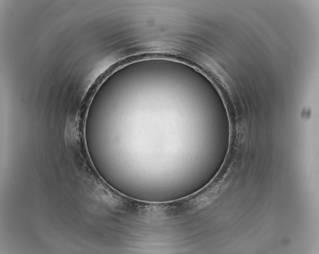 X0000090920875200708131431