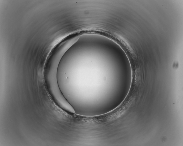 X0000090920876200708131431