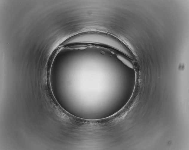 X0000090920877200708131431