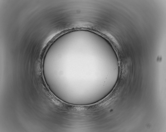 X0000090920878200708131431