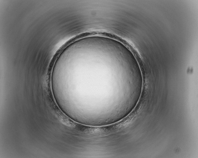 X0000090920879200708131431