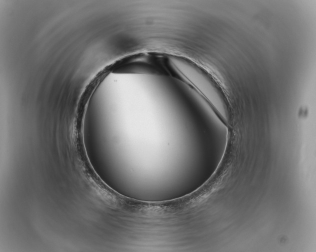 X0000090920880200708131431