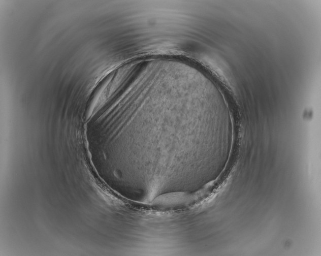 X0000090920881200708131431