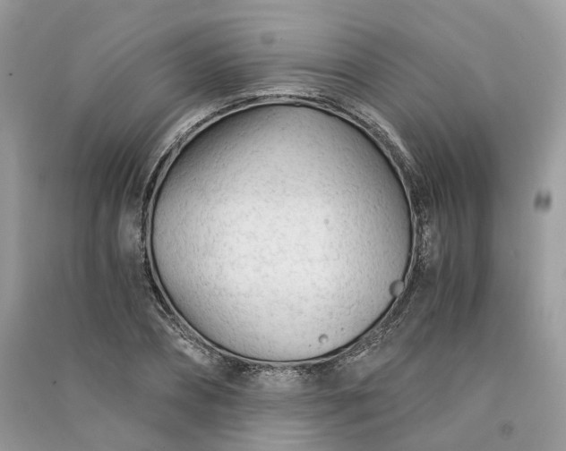 X0000090920882200708131431