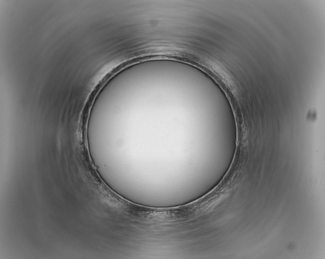 X0000090920883200708131431