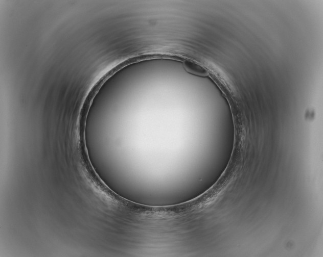 X0000090920884200708131431