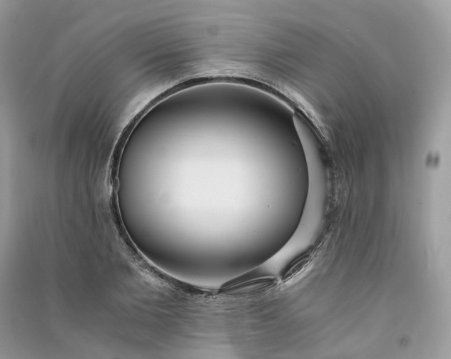 X0000090920885200708131431