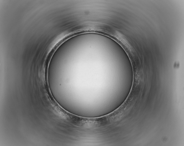 X0000090920886200708131431