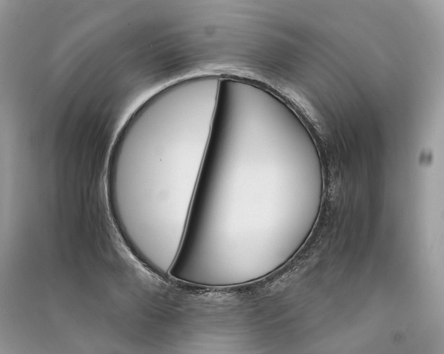 X0000090920888200708131431