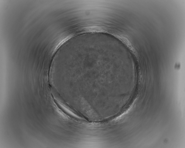 X0000090920889200708131431