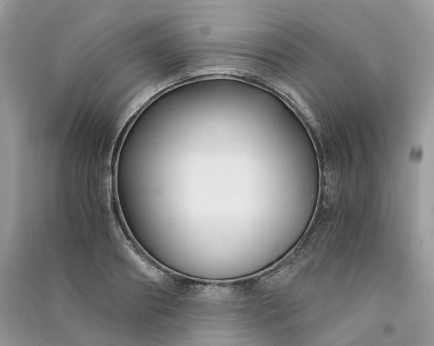 X0000090920890200708131431