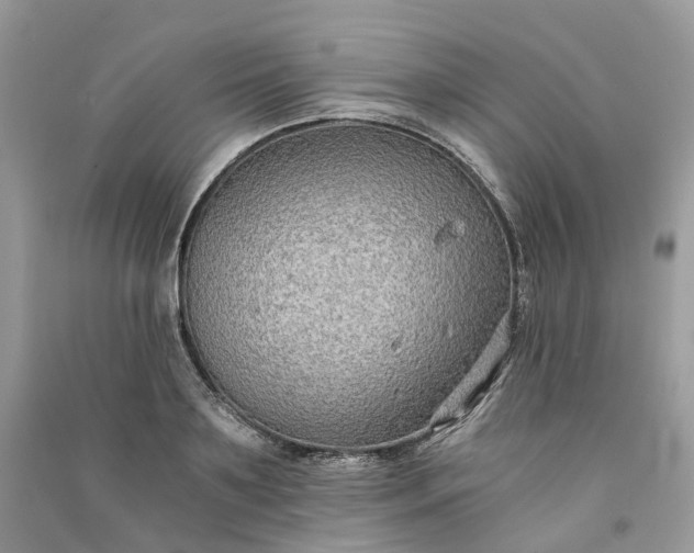 X0000090920891200708131431