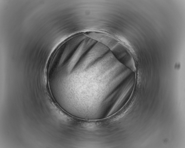 X0000090920892200708131431